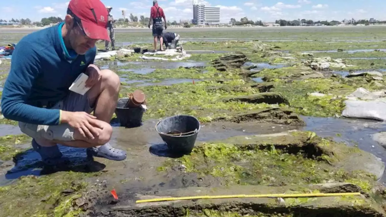 Long-lost American shipwreck identified by analyzing timbers