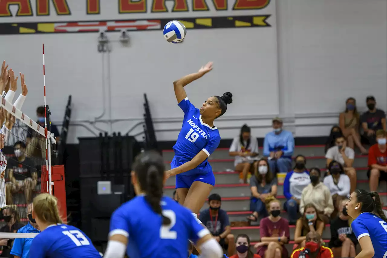 Young Hofstra volleyball team poised to make an impact - New York Amsterdam News