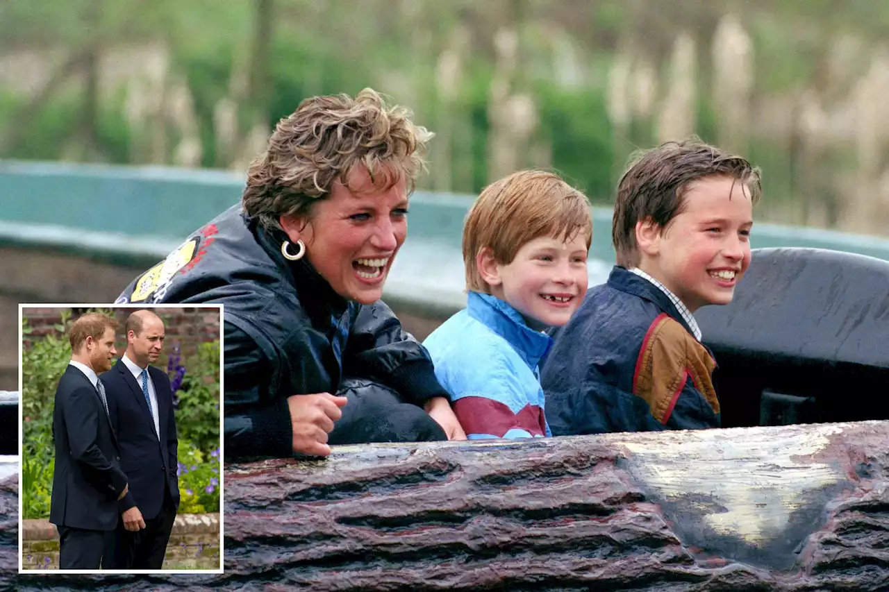 Princes William and Harry won’t spend 25th anniversary of Diana’s death together