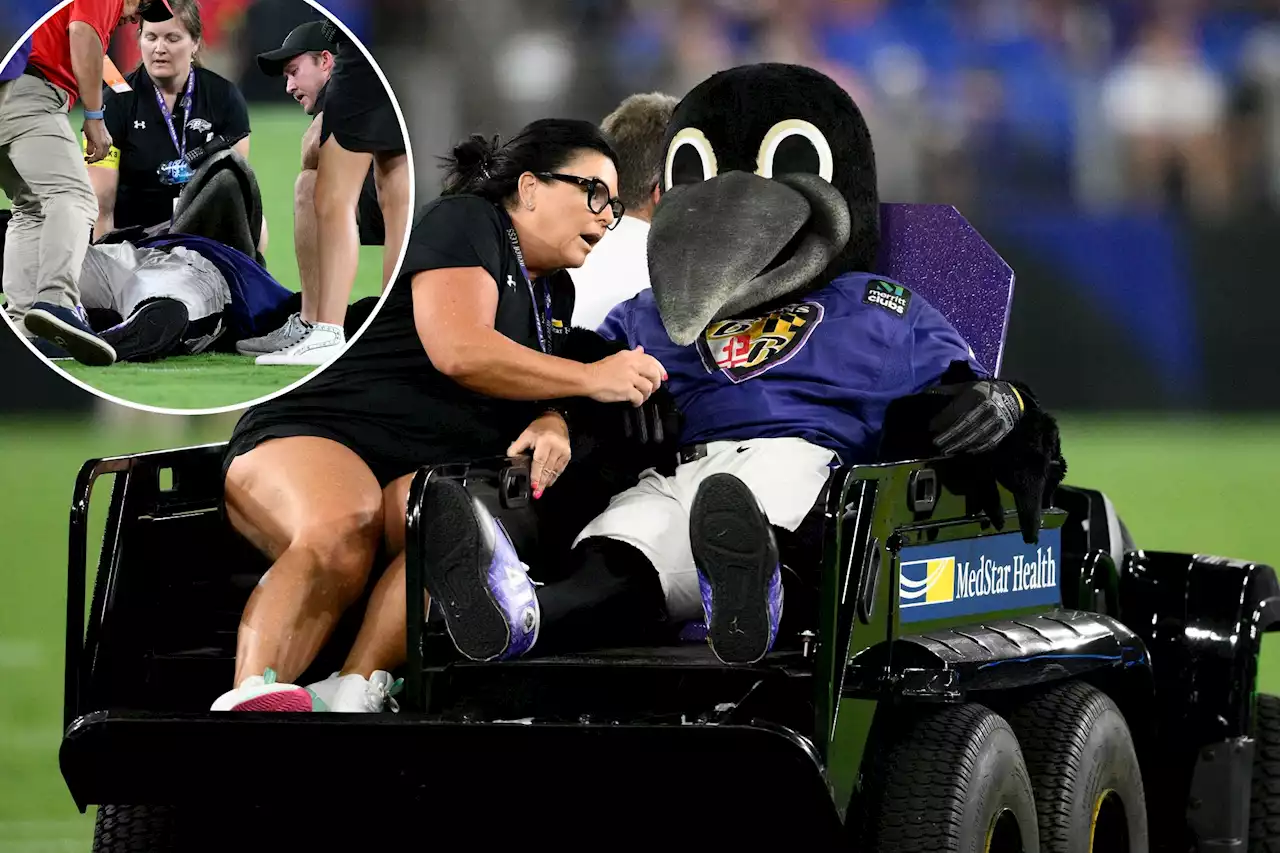 Ravens mascot carted off field with serious injury