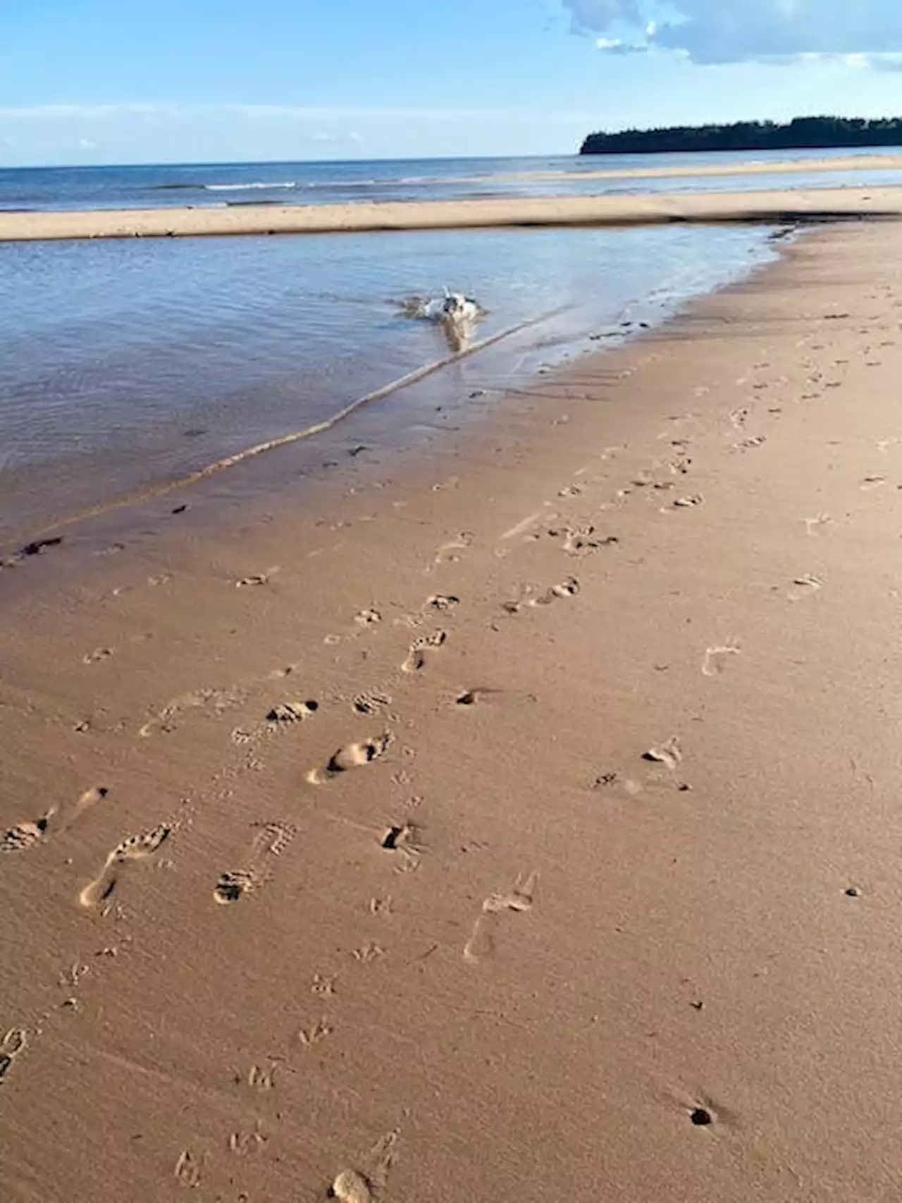 BEACHES OF ATLANTIC CANADA: Little Harbour Beach, P.E.I. | SaltWire