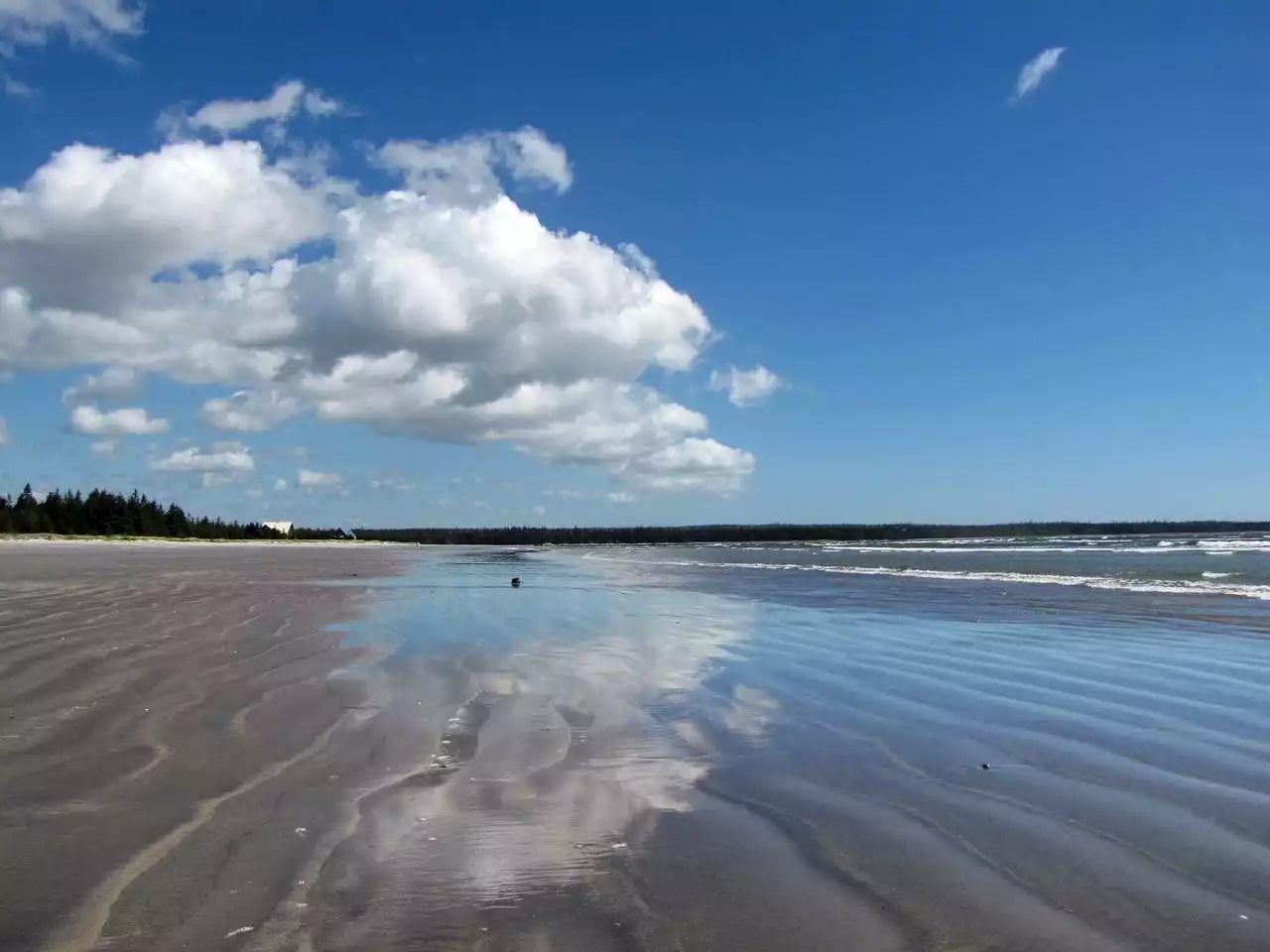 BEACHES OF ATLANTIC CANADA: Louis Head, N.S. | SaltWire