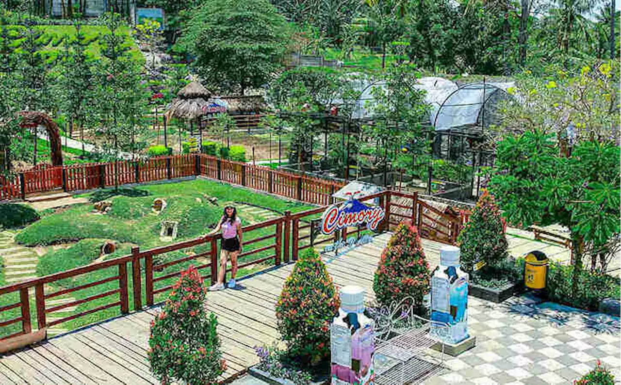 Cheese Park by Cimory akan Dibuka di Boyolali, Ini Fasilitasnya