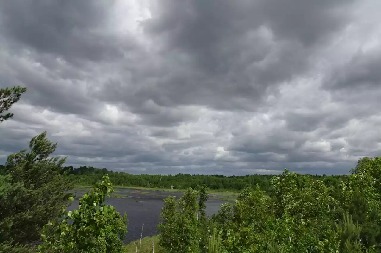 Showers and thunderstorms to start the week