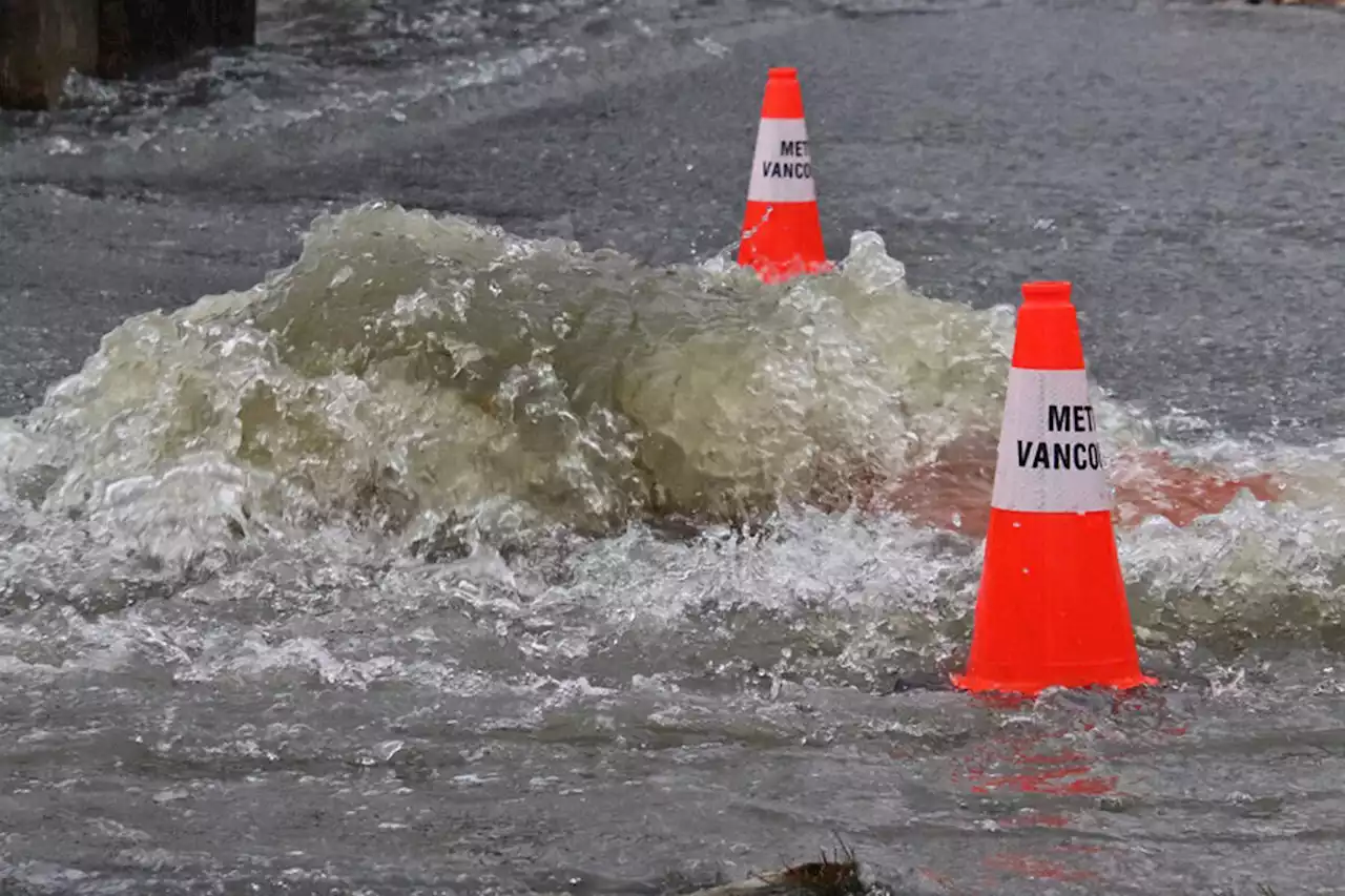 Vulnerable populations in B.C. more at risk to flooding: study - Terrace Standard