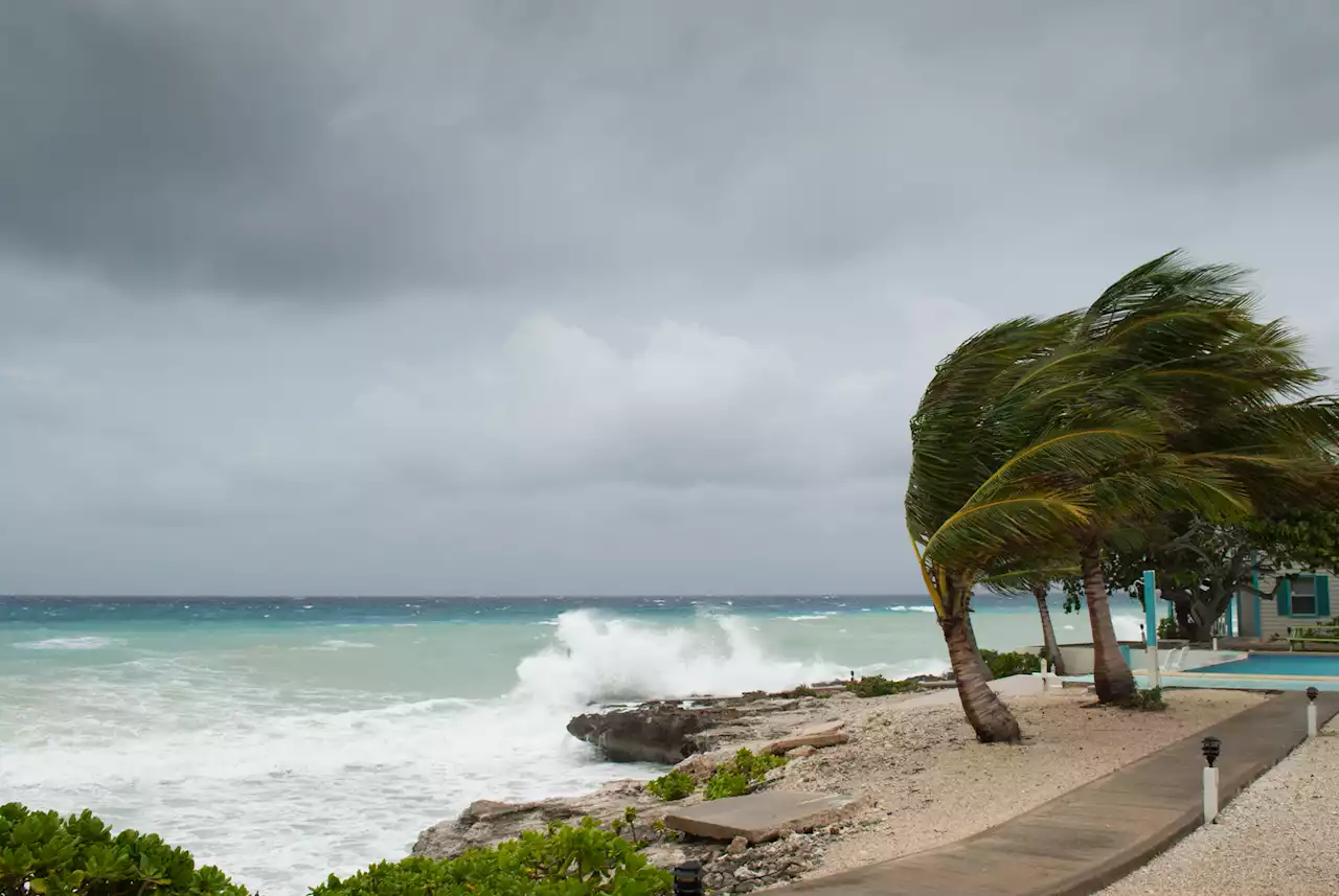 SA Weather Service issues level 2 warning for strong winds in parts of Northern Cape | The Citizen