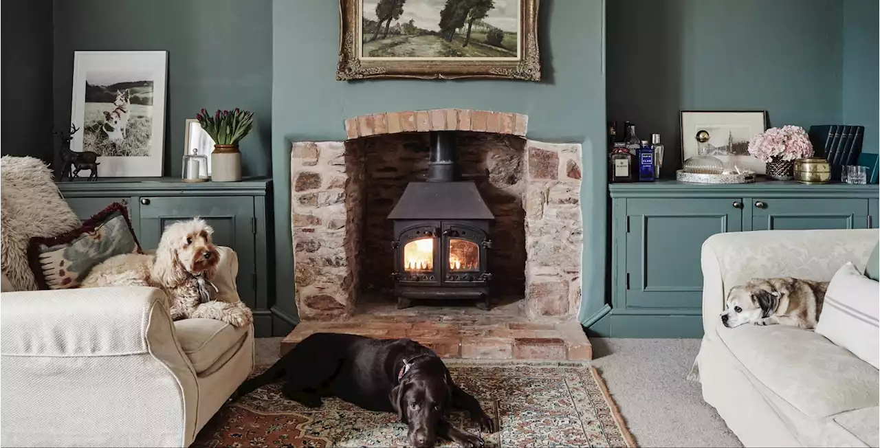 Inside the luxury dog hotels with six-month waiting lists