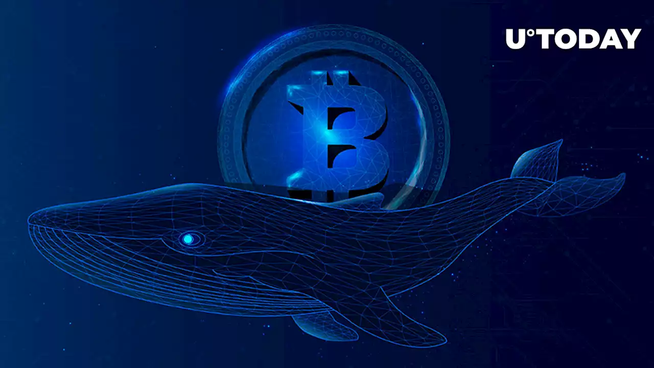 Ancient Bitcoin Whales Are Awakening, What's Happening?