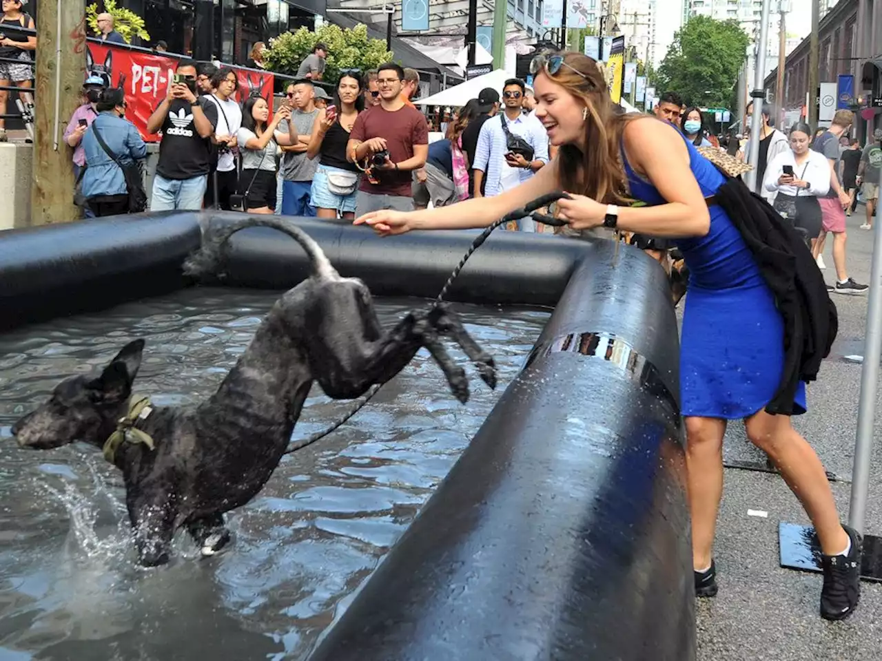 Pet fundraiser in Yaletown draws the dog crowd