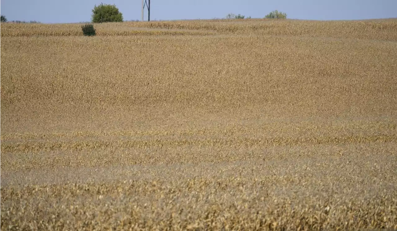 North Dakota residents fight Chinese company building corn mill near Air Force base