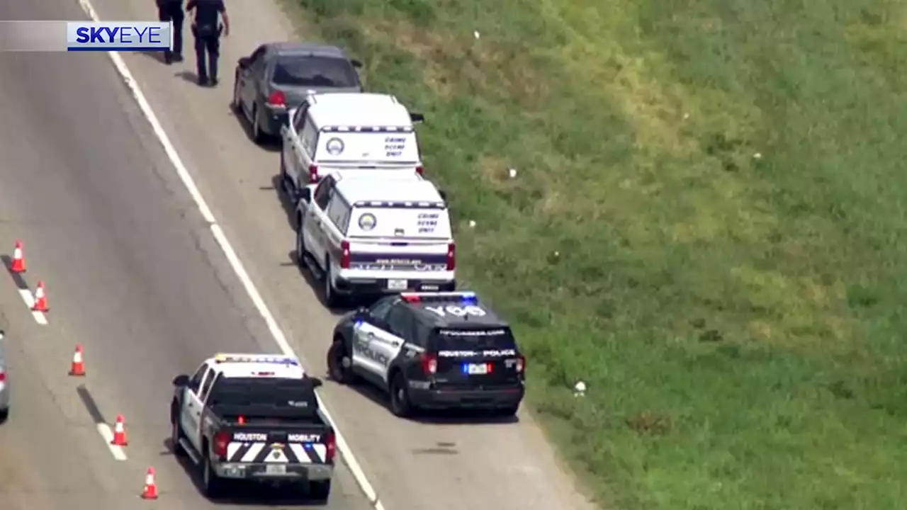 Landscaping crew comes upon human skull along SE Houston freeway