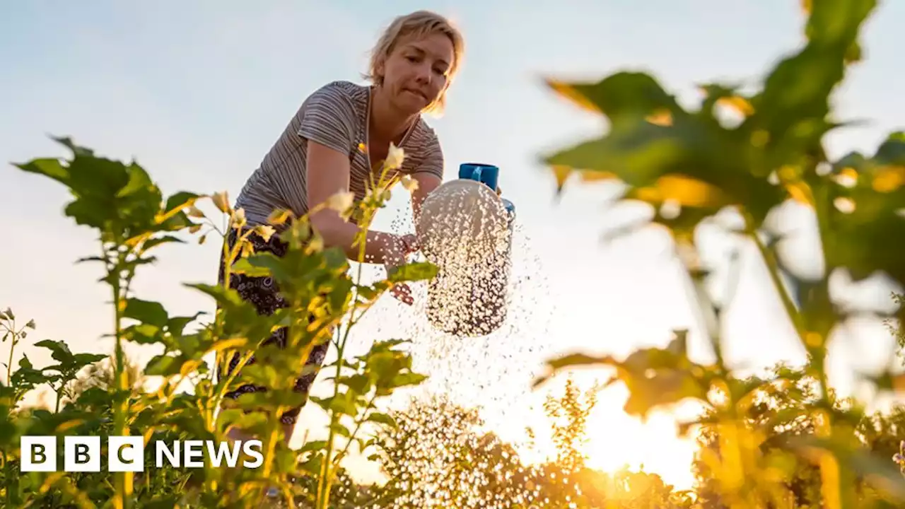 How can you save water during a hosepipe ban?