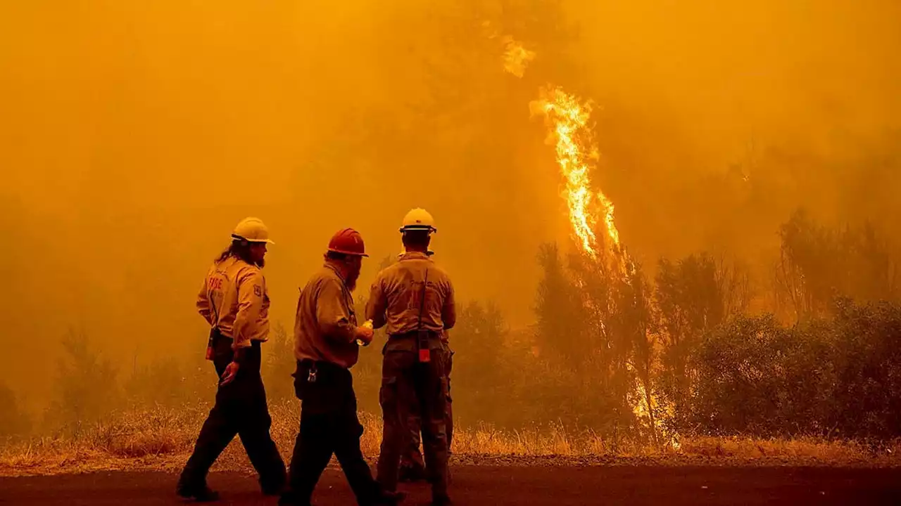 Waldbrand wütet weiter – vier Tote