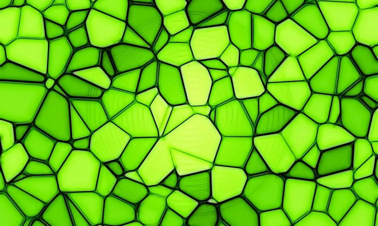Can Polygon [MATIC] reclaim the $1 mark this week