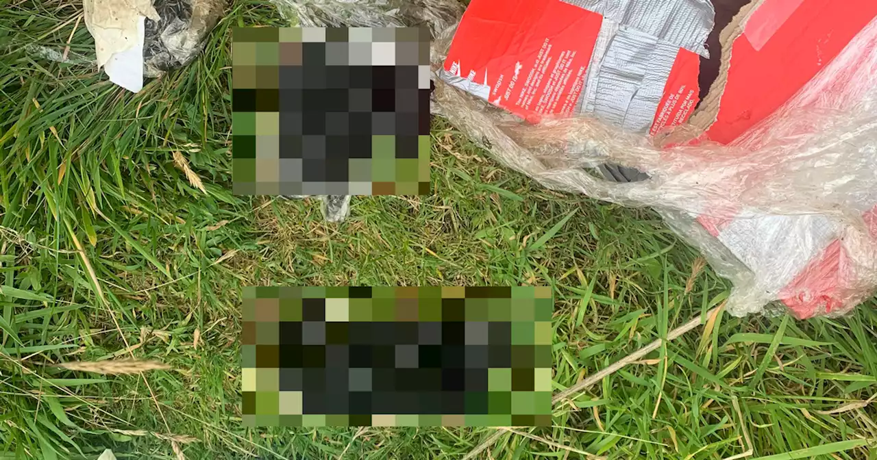 SSPCA launch probe after three dead puppies found in Scots field