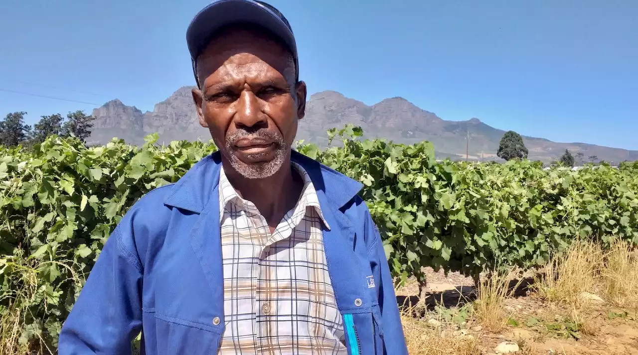 GROUNDUP: High court victory for former farm worker from Wellington over emergency housing