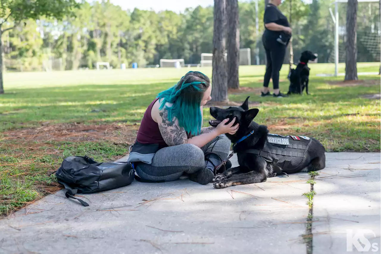 Study Shows Calm Service Dogs Reduce PTSD Symptoms