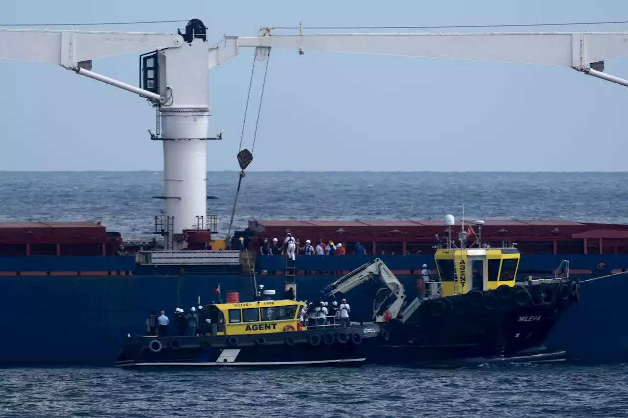 Istanbul - Ukrainischer Getreide-Frachter darf Bosporus passieren