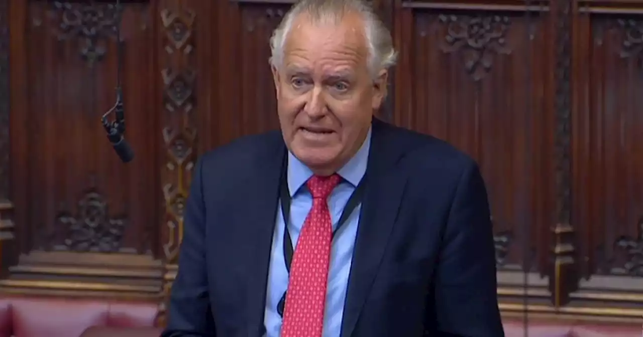 Bain & Co | SA must protect whistleblowers, says Lord Hain