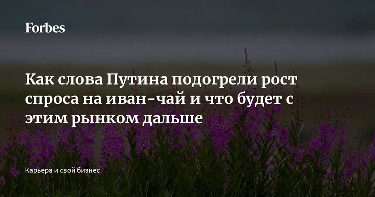 Как слова Путина подогрели рост спроса на иван-чай и что будет с этим рынком дальше