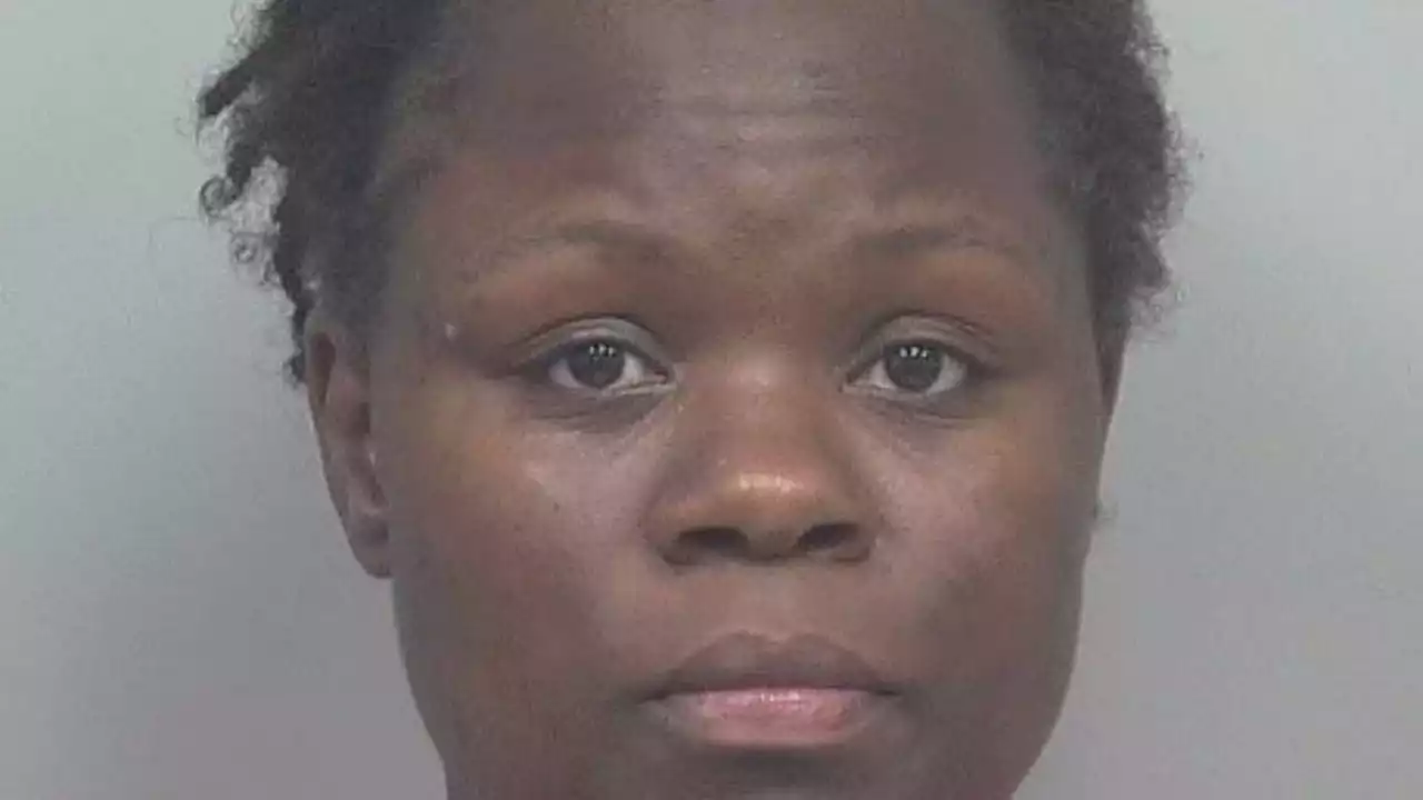 Woman charged with snatching French Bulldog puppy, attempting to steal another dog