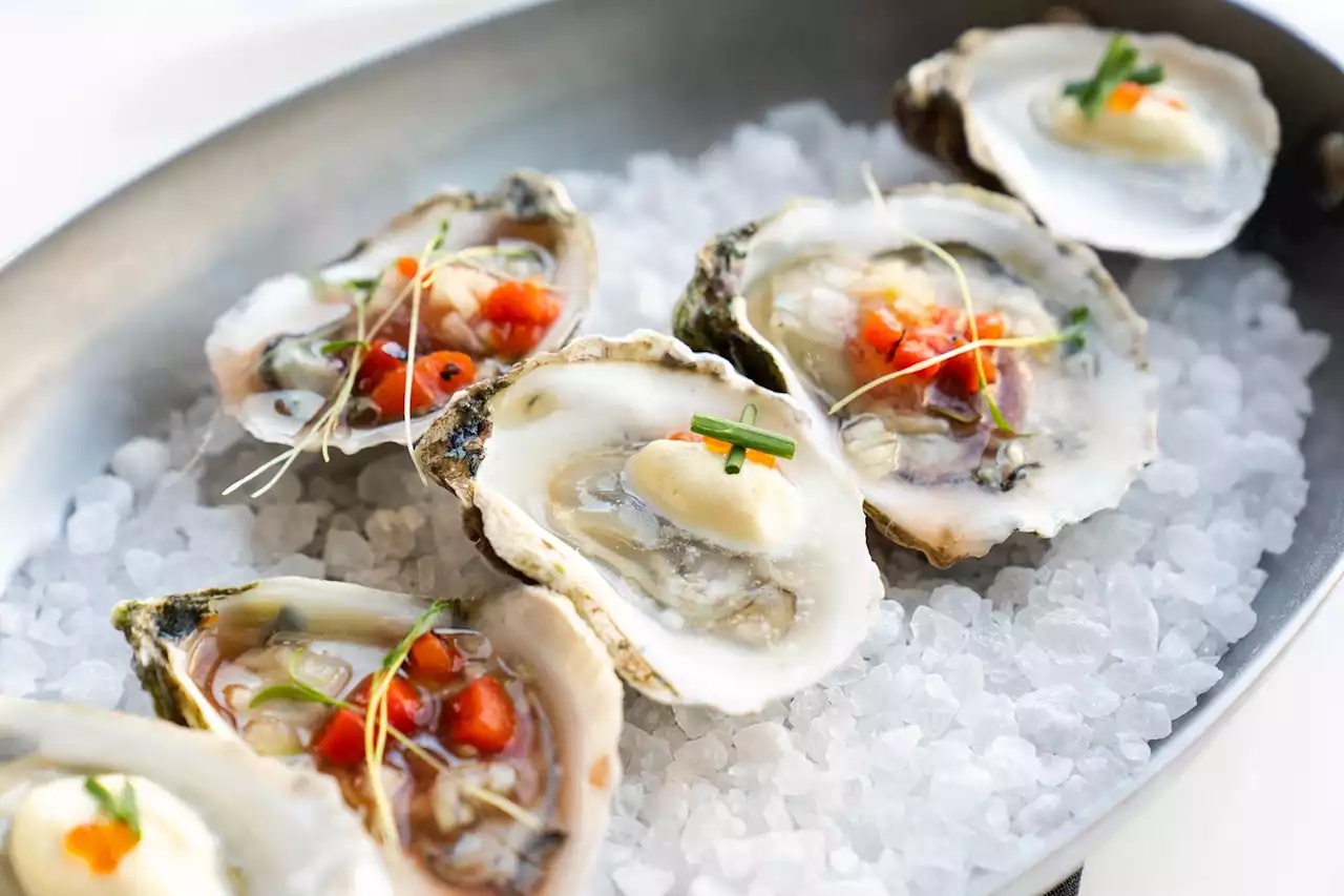 These Houston Restaurants Are Shucking Out Deals for National Oyster Day (Friday, August 5)