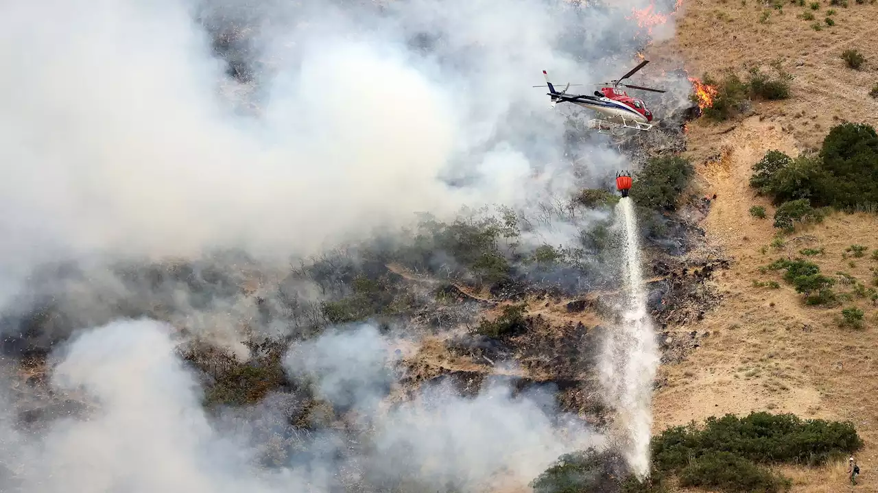 Utah Man Accused Of Starting Wildfire While Trying To Burn A Spider