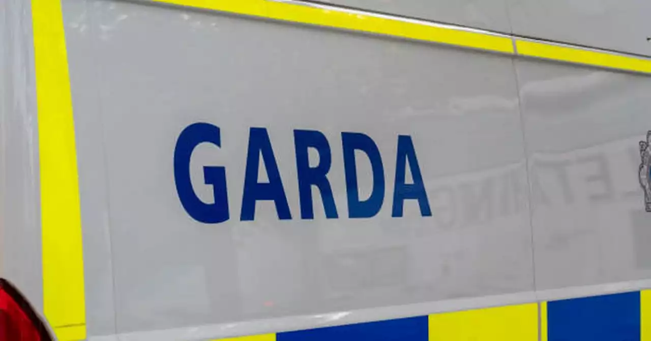 Over 400 drivers caught speeding in one day as new Garda speed vans introduced