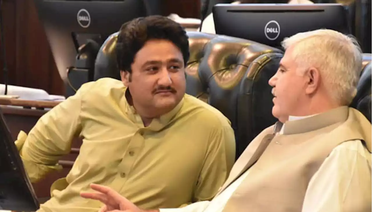 تحریک انصاف کا ایم پی اے عمران خان کے خلاف پھٹ پڑا