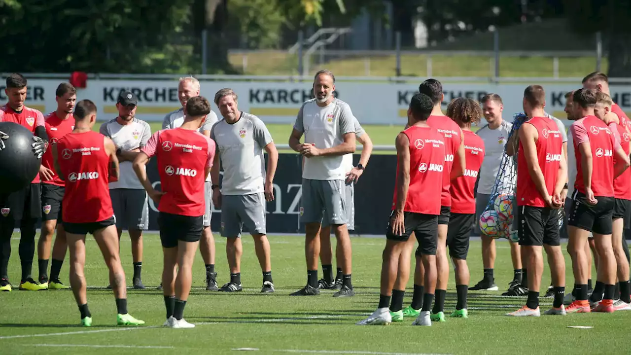 VfB nutzt WM-Pause für Reise in die USA