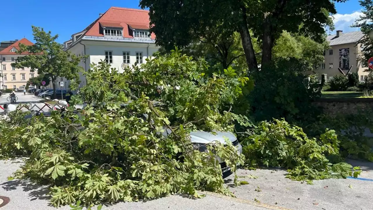 Massiver Ast donnert mitten in Klagenfurt auf Auto