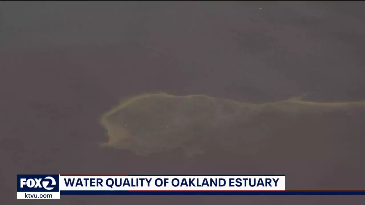 Brown water in Oakland Estuary undergoing testing