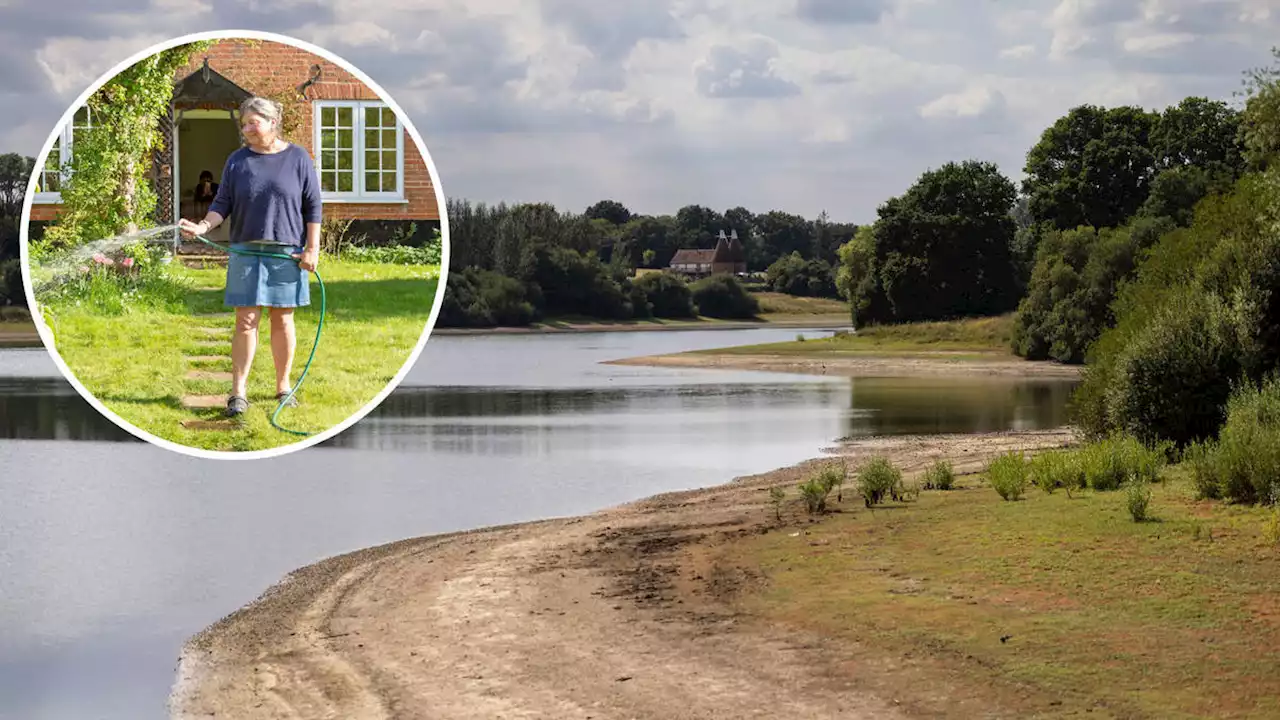 Fresh hosepipe ban for Kent and Sussex after 'extreme weather conditions' triggers record dry spell