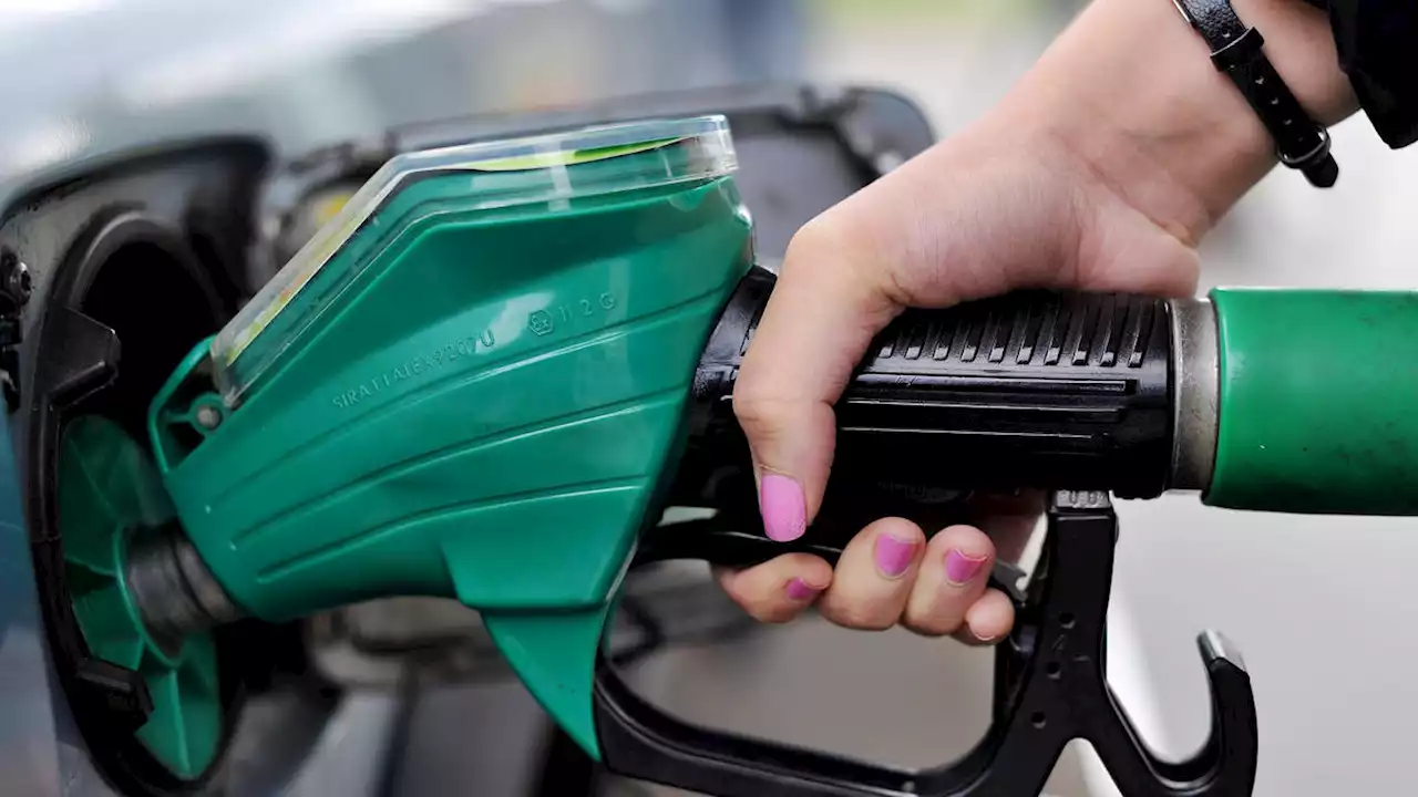 Petrol companies ‘keeping prices high despite falling wholesale costs’, warns RAC