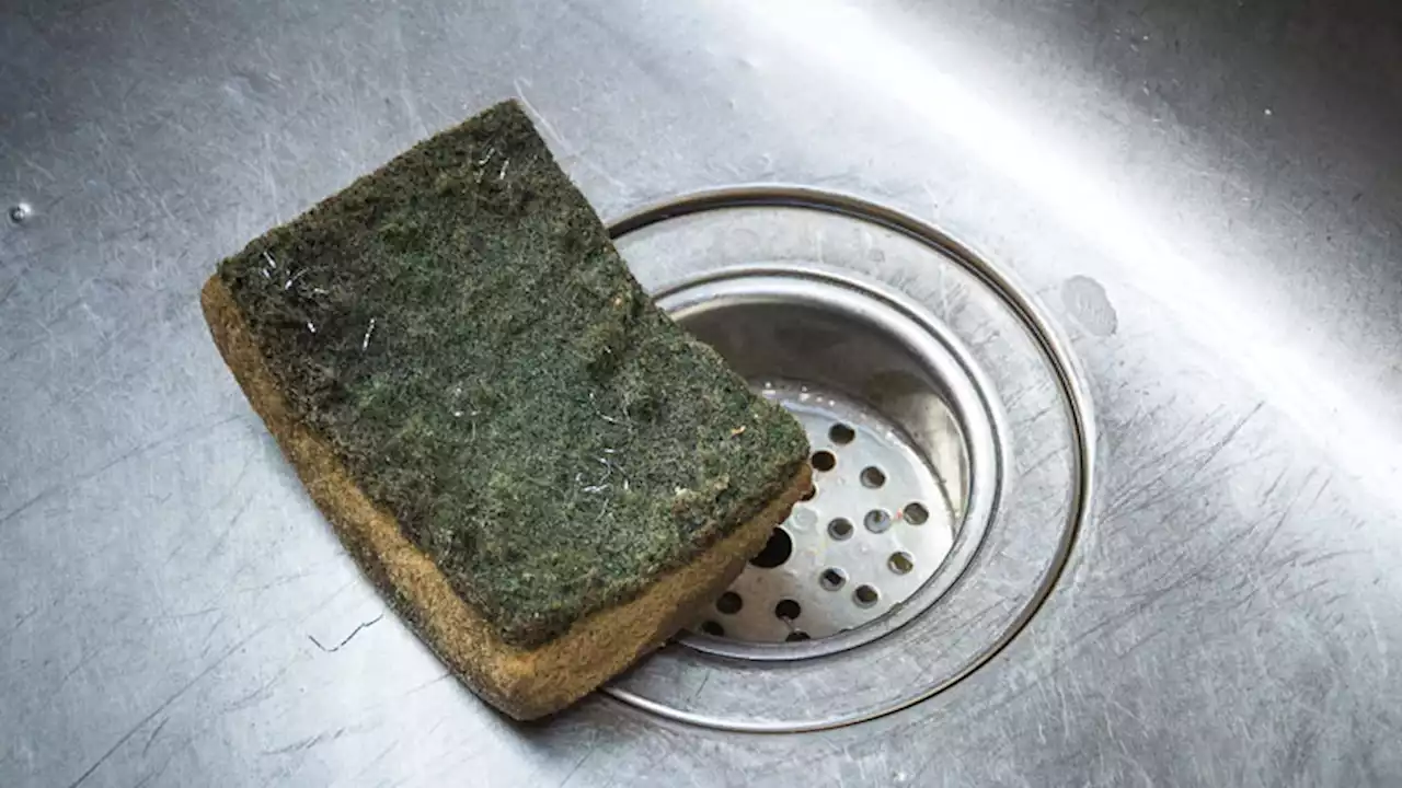 Dishes May Get Dirtier With the Kitchen Sponge