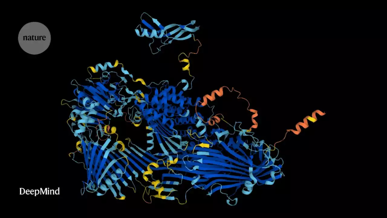 ‘The entire protein universe’: AI predicts shape of nearly every known protein