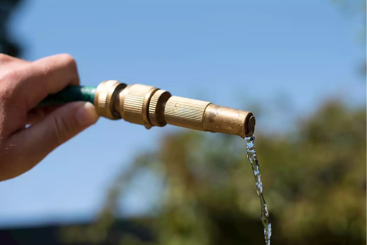 Bay Area Leads State in Latest Water Conservation Numbers