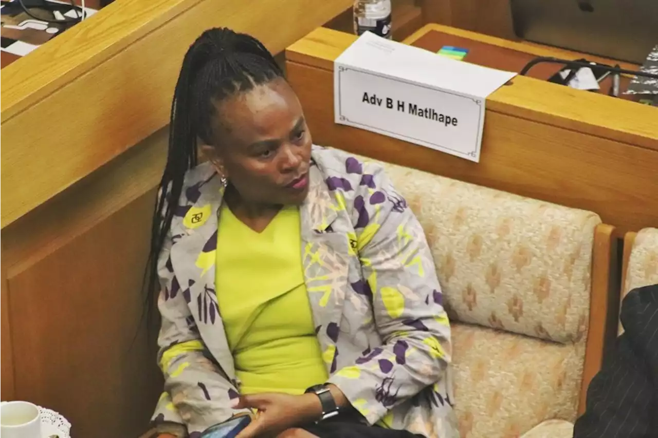 'Hammering' Mkhwebane has 'final say' on reports - witness to impeachment committee | News24