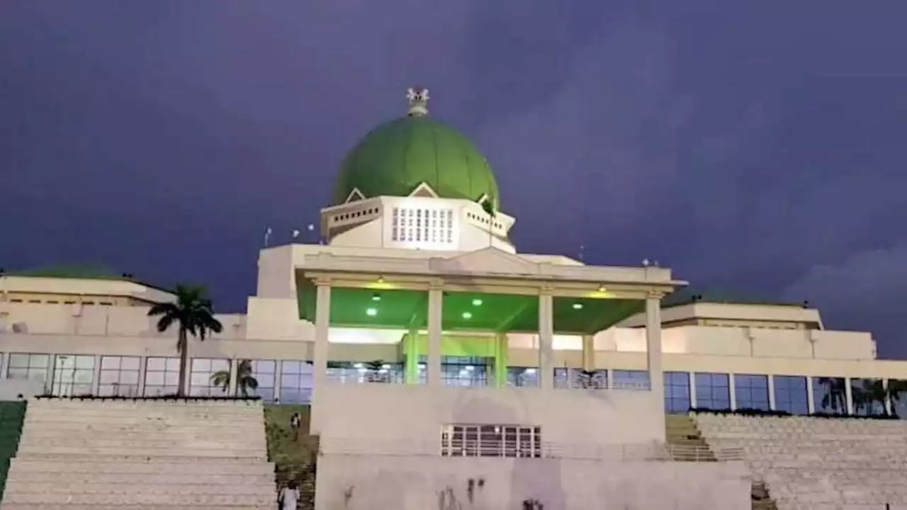 Ohanaeze chieftain: National Assembly deserves more blame than Muhammadu Buhari