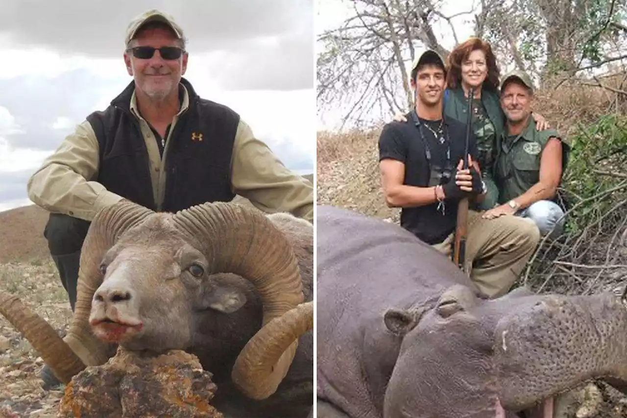 Millionaire dentist found guilty of shooting wife dead on African safari