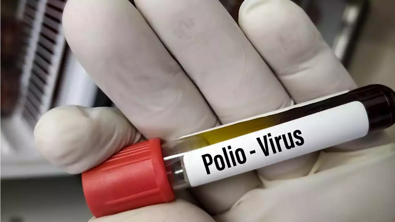 Preocupación en Nueva York tras detectarse el virus de la poliomielitis en aguas residuales