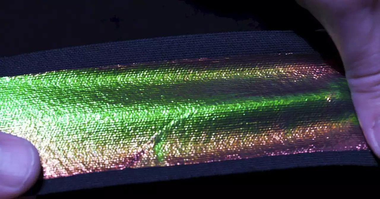 MIT Use 19th-Century Photography Tech to Create 'Chameleon' Material