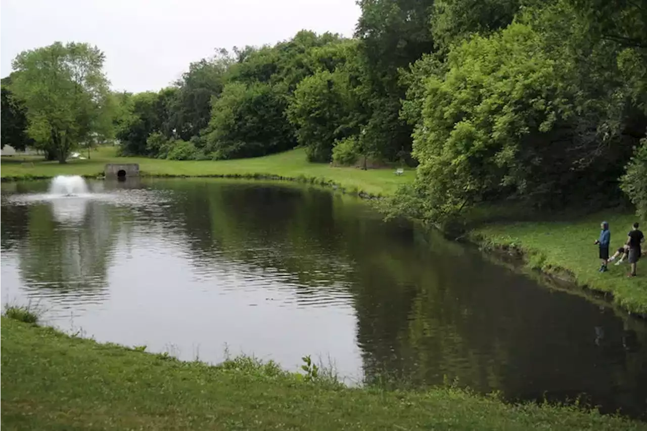 Red food dye was improperly dumped into wastewater in South Jersey, discoloring Pennsauken Creek