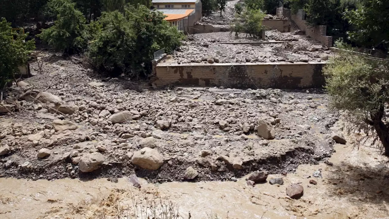 شناسایی ۶۰ مبتلا به وبا در ایران؛ احتمال افزایش ابتلا پس از سیل‌های اخیر