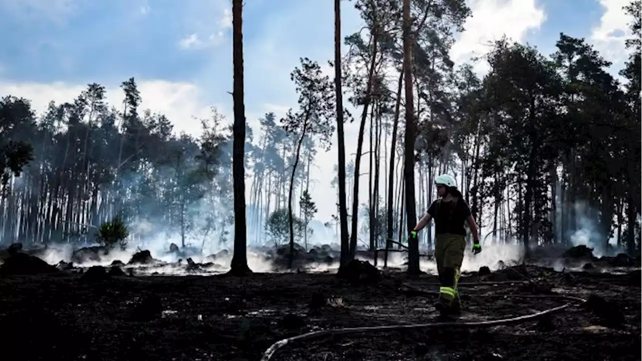 'Schlimmste Dürre in der Geschichte des Landes'