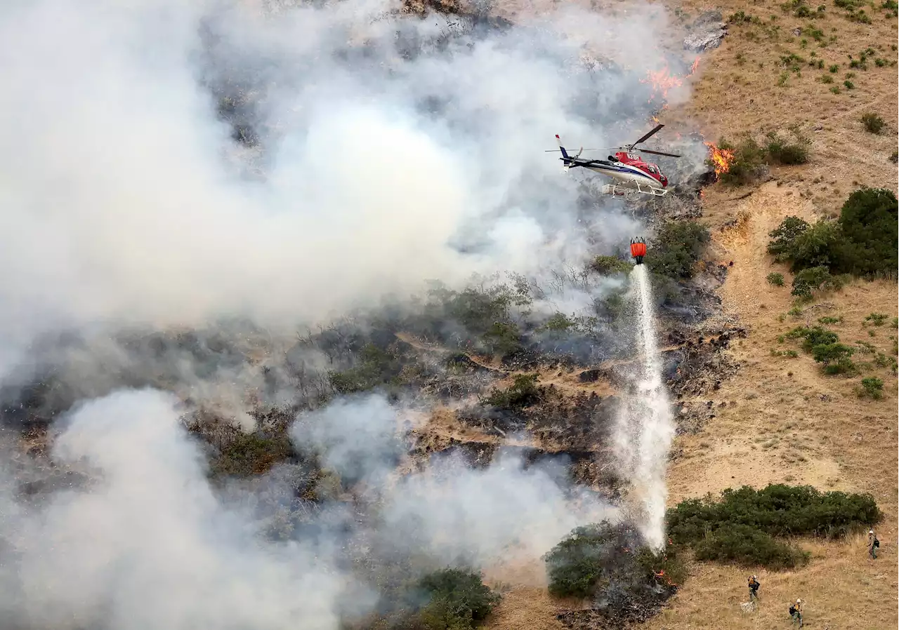 Utah Man Accused of Causing Wildfire by Burning a Spider