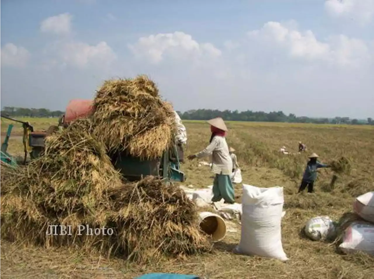 Hasil Panen Padi di Karanganyar Merosot, Untungnya Harga Lagi Bagus