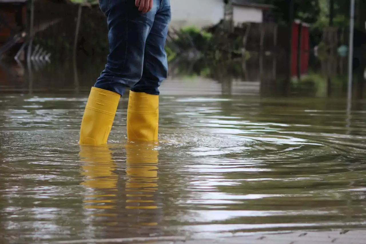 Flood outlook statement issued for Sault area