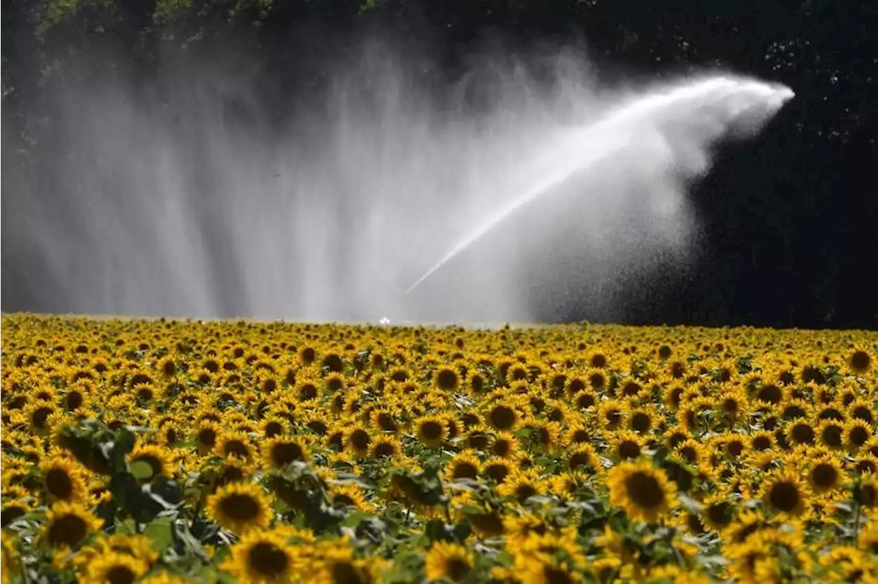 Brussels urges EU members to reuse city water in farms