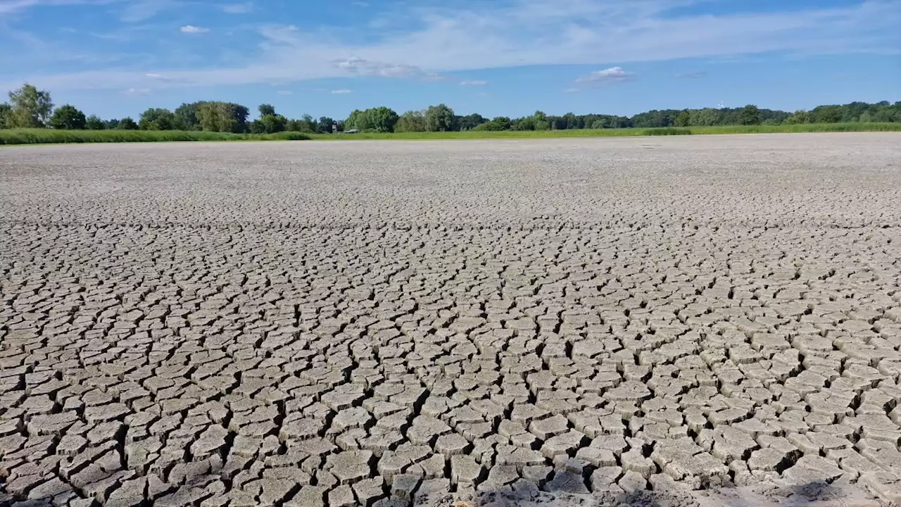 Buch 'Klima außer Kontrolle': Planlos in die Klimakrise